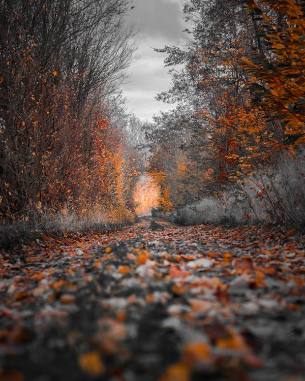 Photography Tips